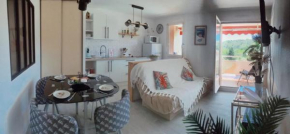 Nice 33m with terrace near the beach